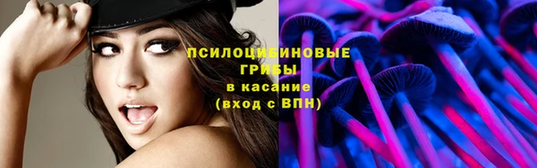 соль ск Майский