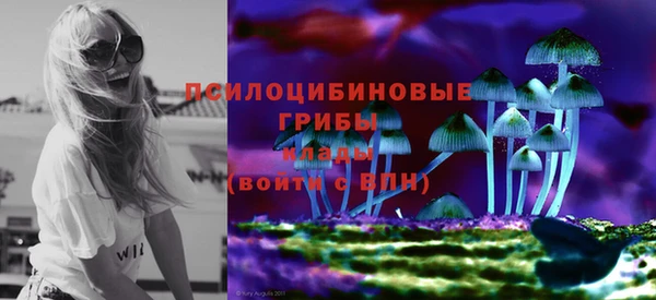 бутират Медногорск